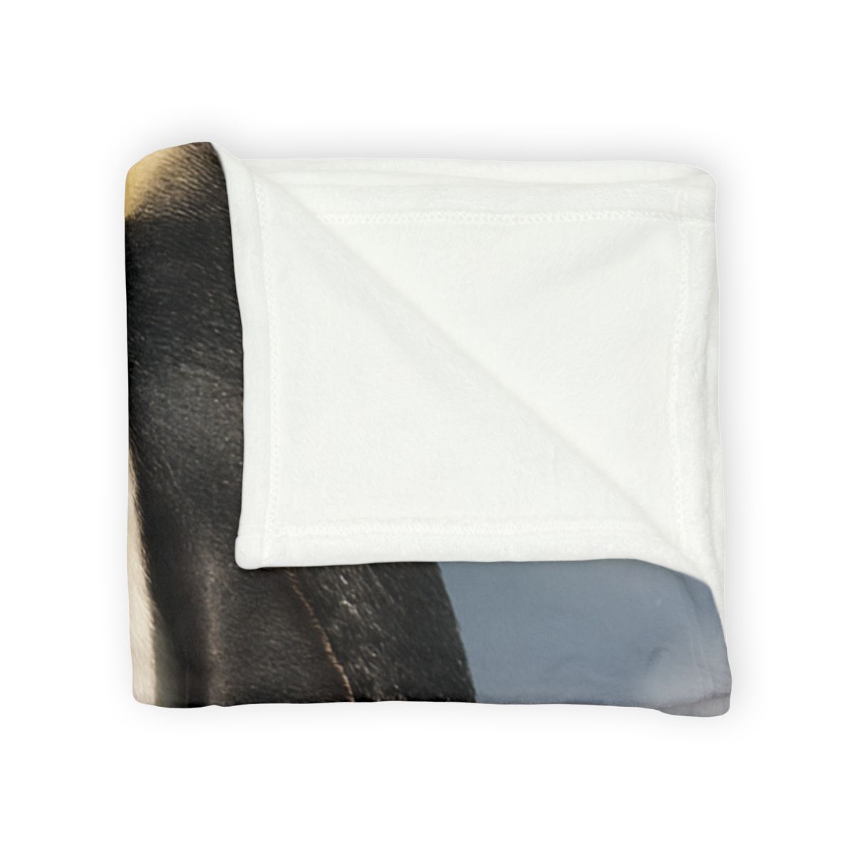 Aurora Drift Emperor Penguin trendy patterned blankets