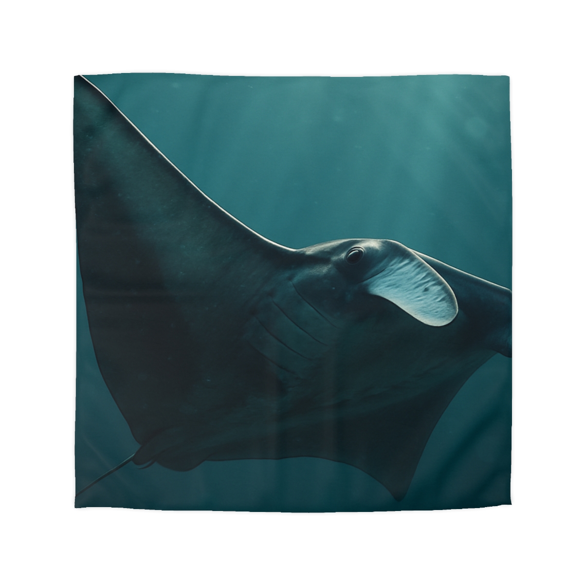 Glasswing Glide Manta Ray duvets for gifts