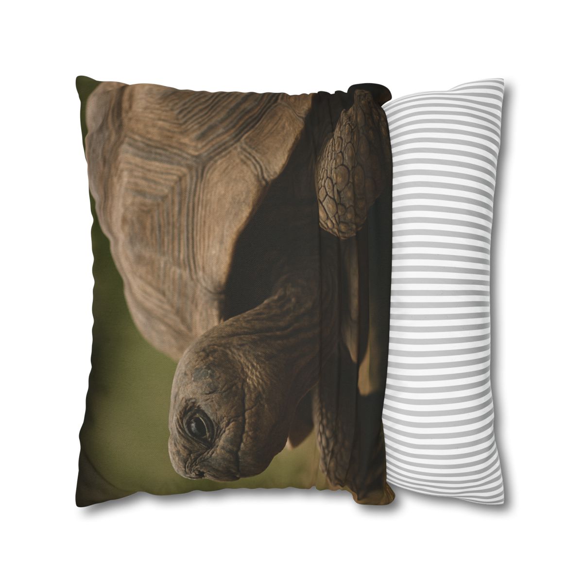 Giant Tortoise Timebound Gaze personalized pillow covers