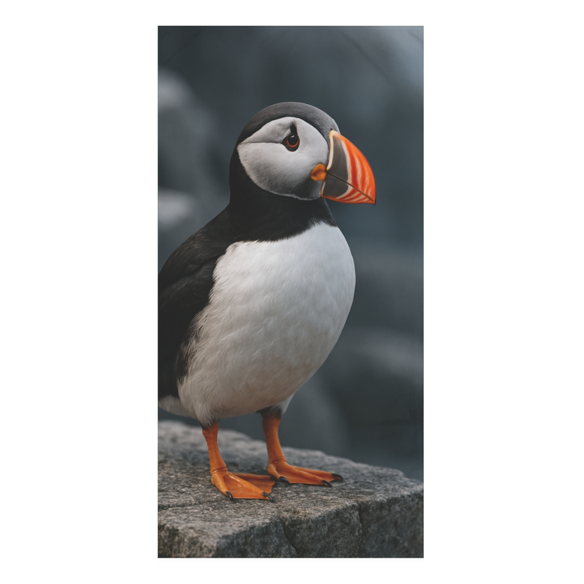 Cliff Breeze Atlantic Puffin soft cotton towels
