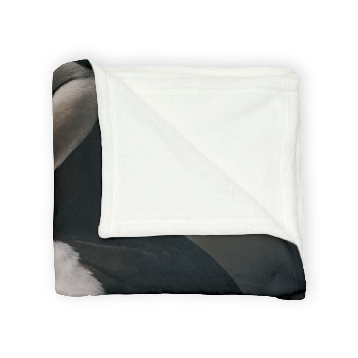 Cliff Breeze Atlantic Puffin unique gift blankets