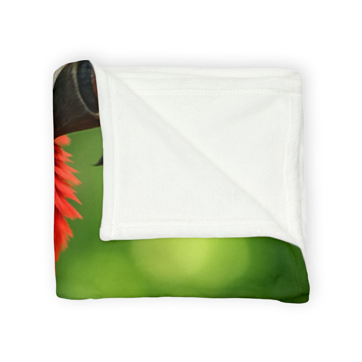 Color Storm Scarlet Macaw trendy patterned blankets