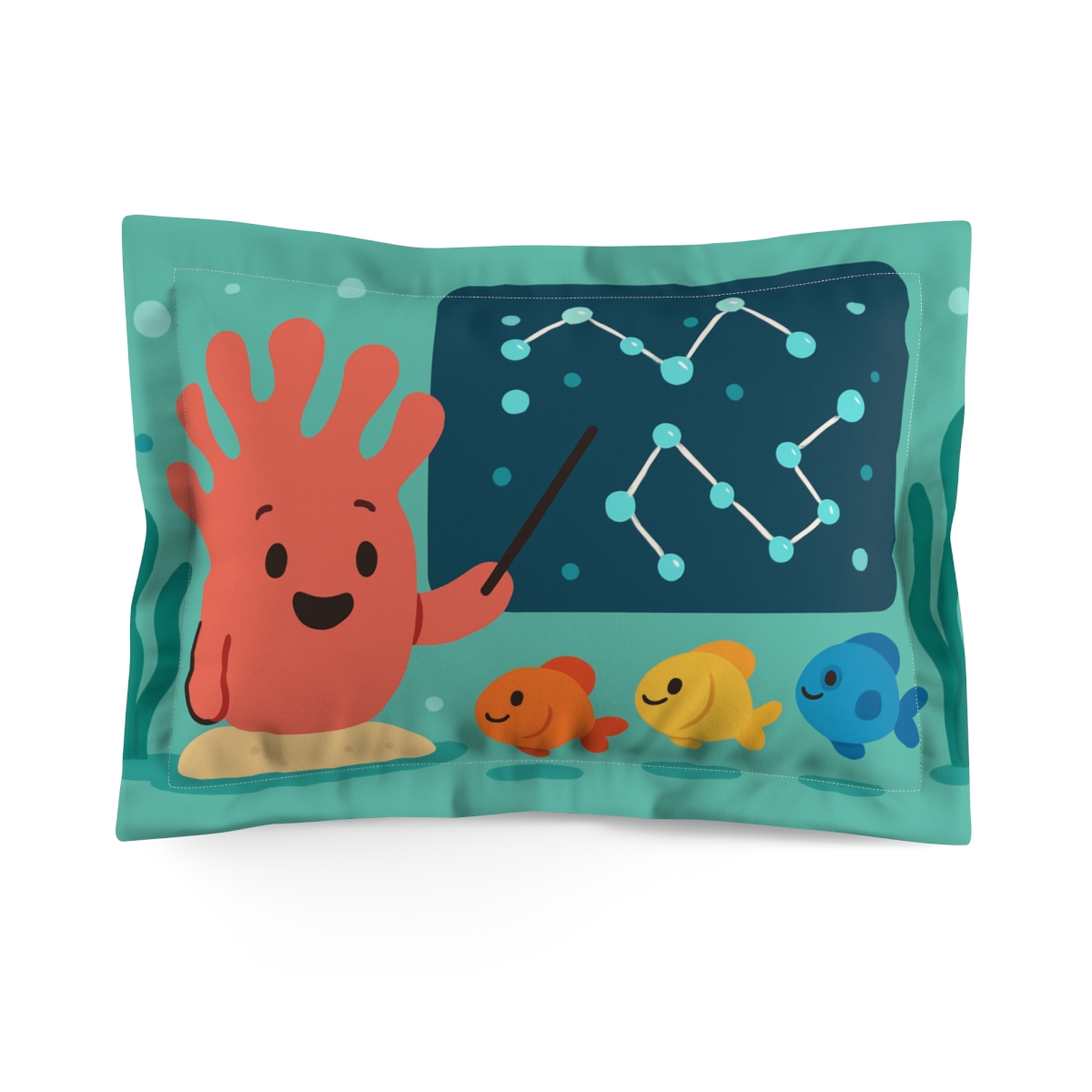 Comet Classroom Coral And The Star Map soft plush pillows