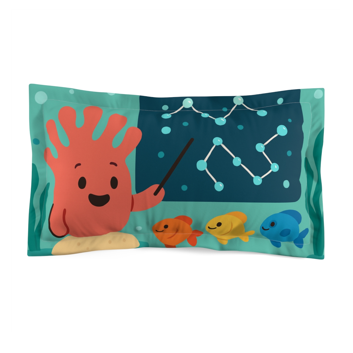 Comet Classroom Coral And The Star Map soft plush pillows