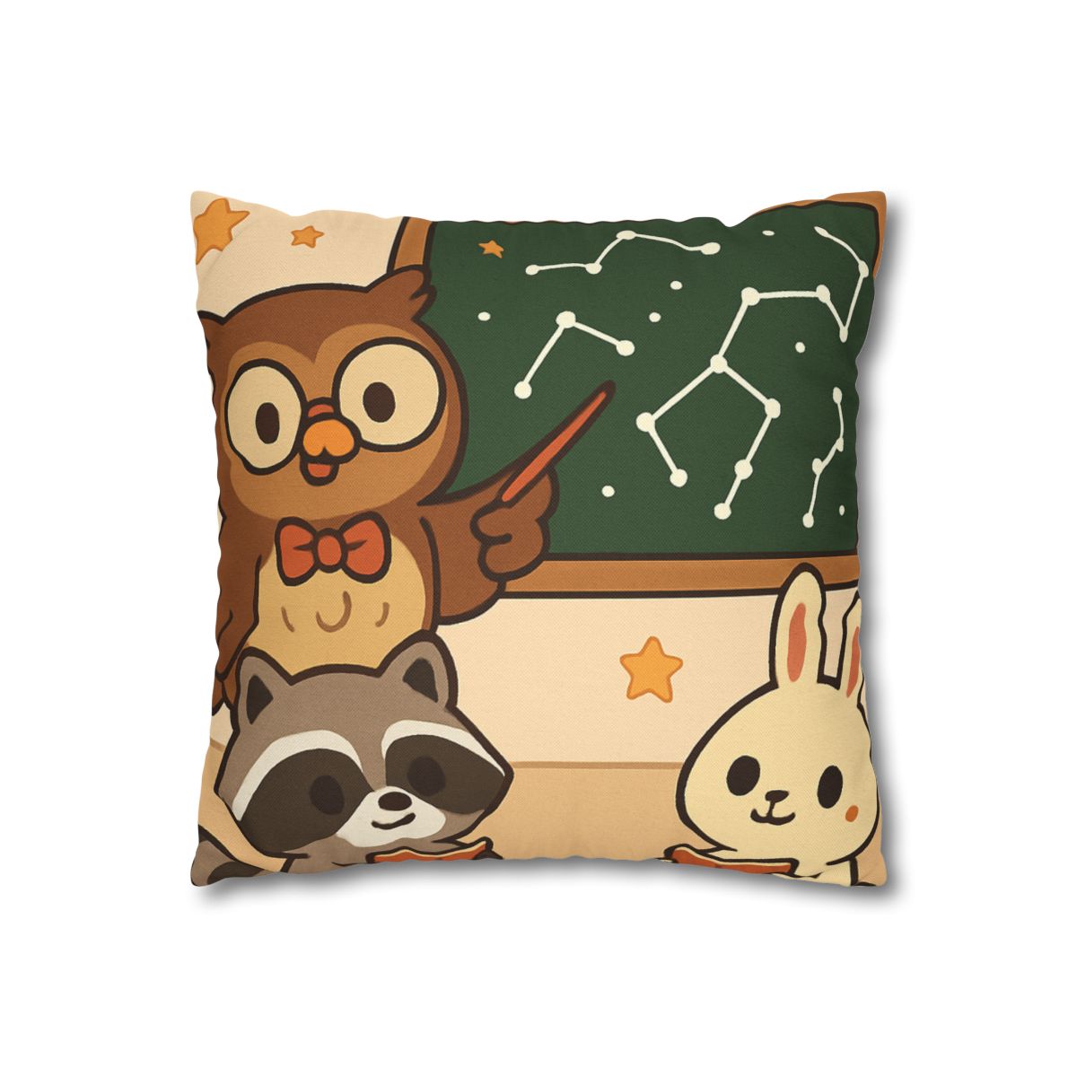 Comet Classroom Owl And The Star Map Chalkboard soft cotton pillow cases