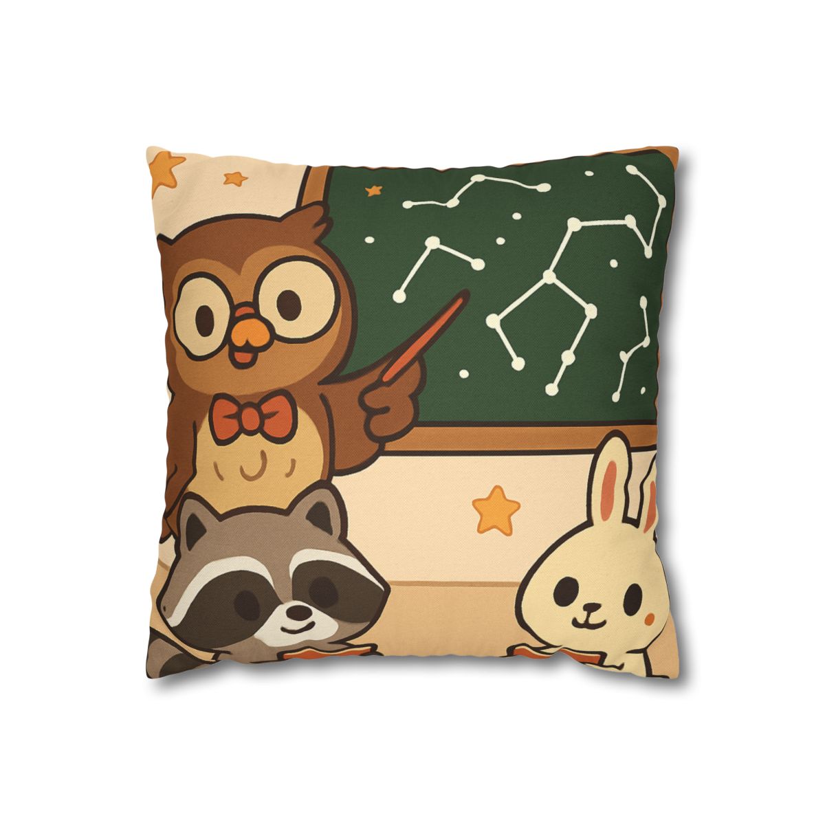 Comet Classroom Owl And The Star Map Chalkboard soft cotton pillow cases