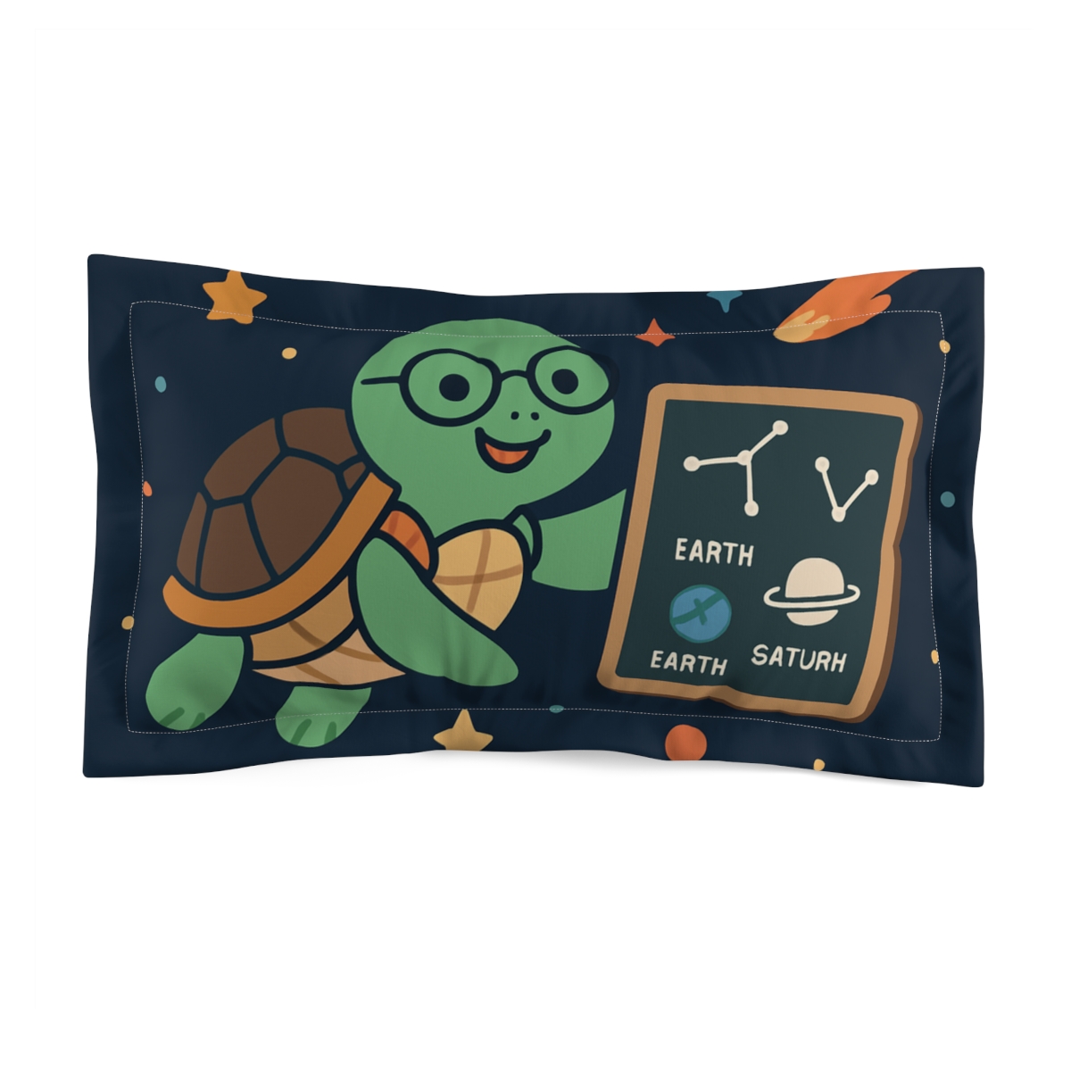 Comet Classroom Turtle stylish throw pillows