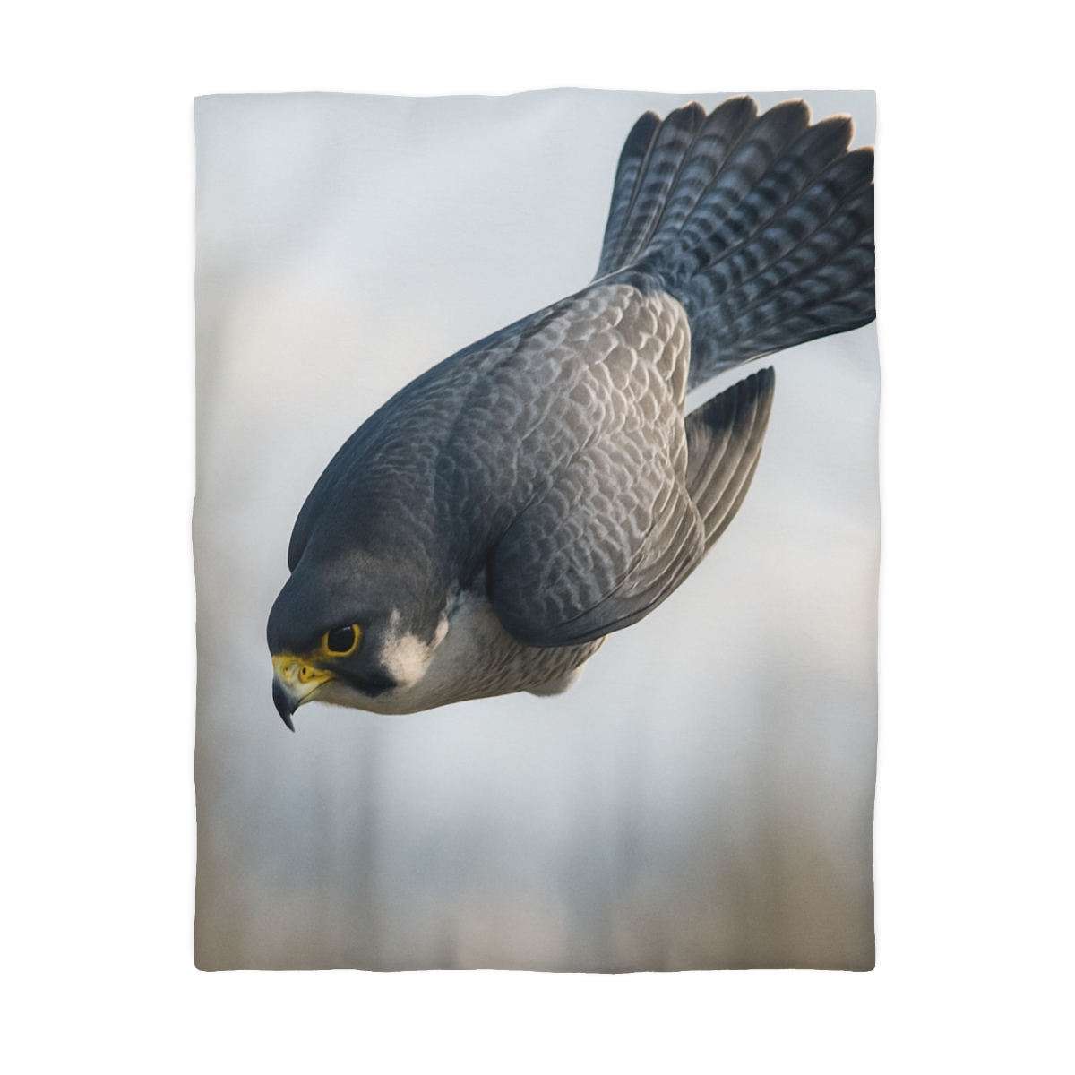 Comet Dive Peregrine Falcon stylish duvet covers