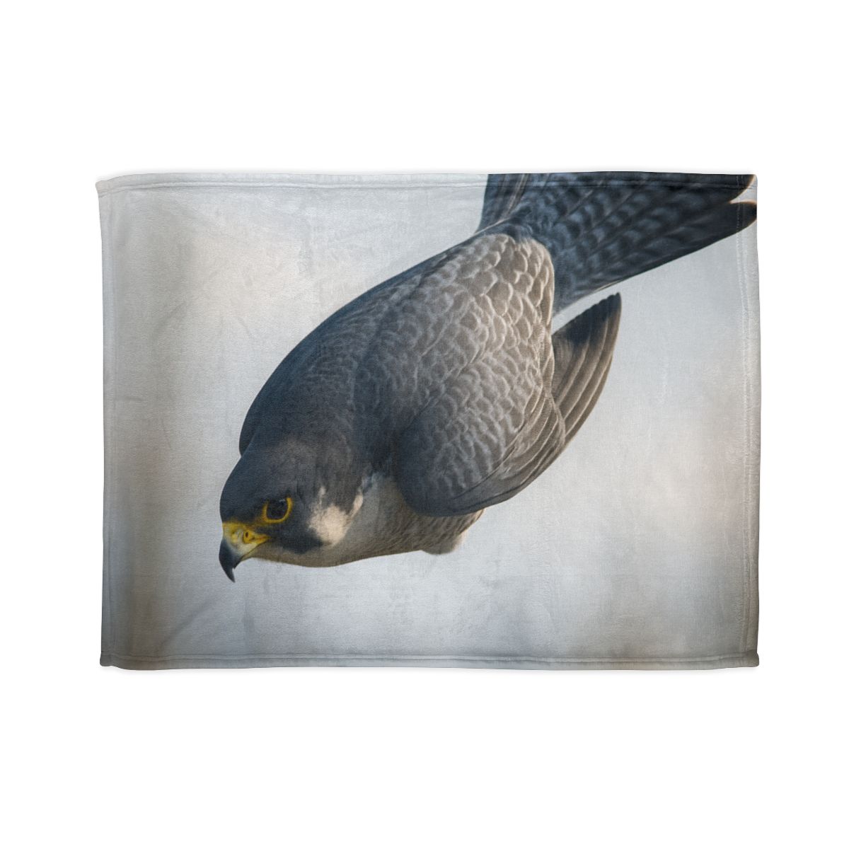 Comet Dive Peregrine Falcon soft fleece blankets