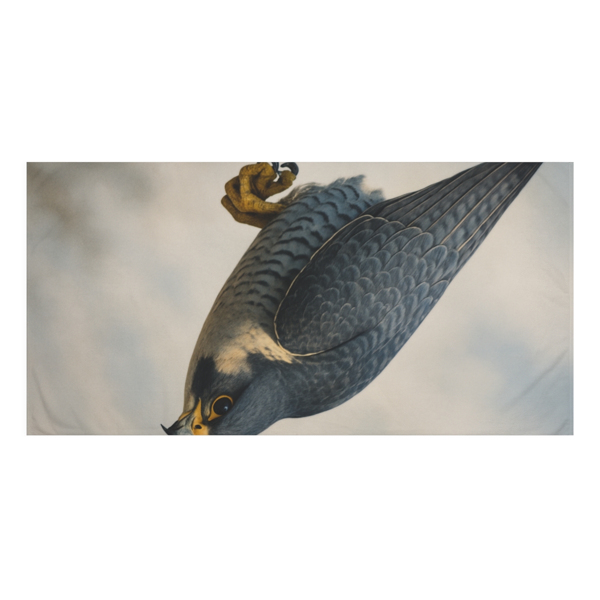 Comet Dive Peregrine Falcon custom towels