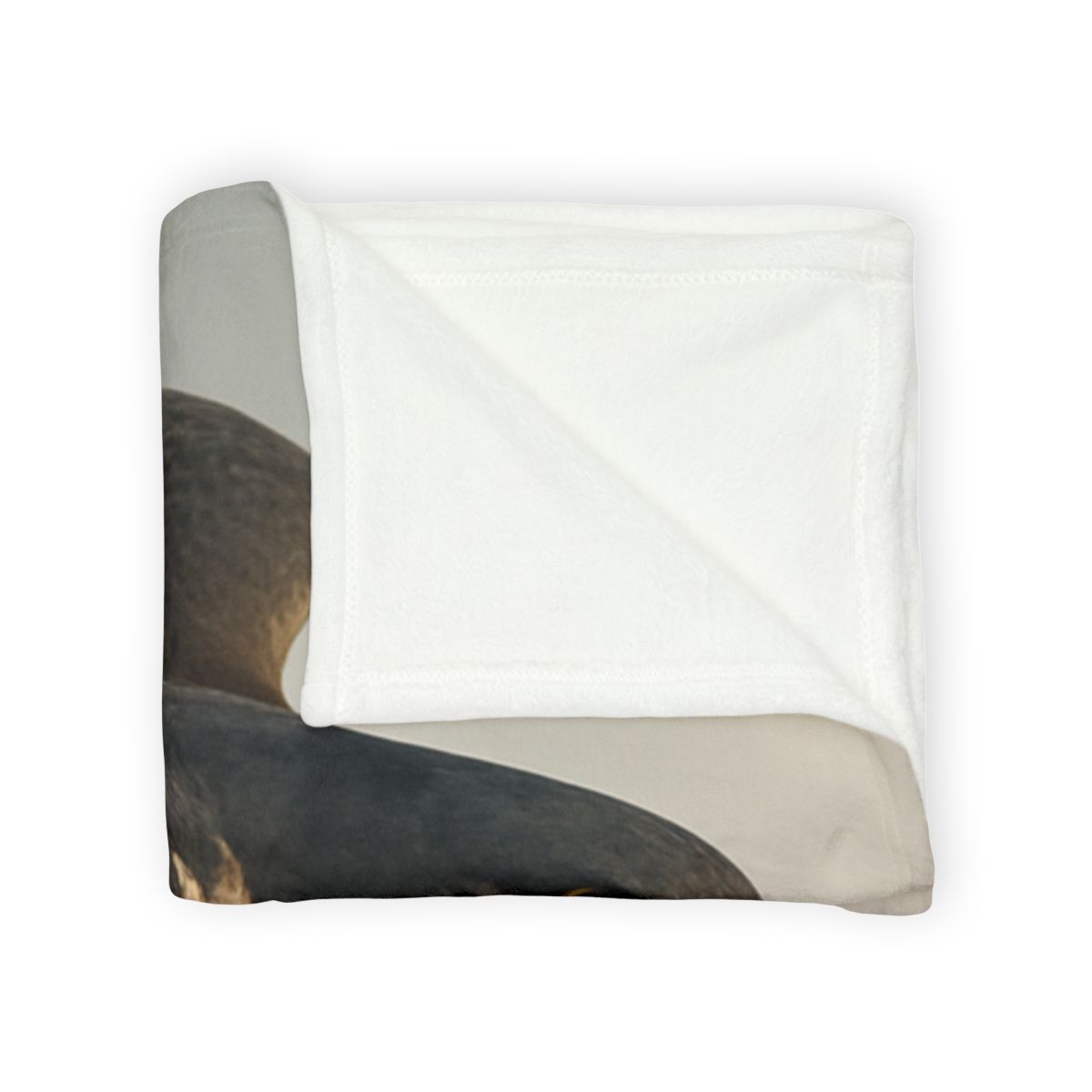 Comet Glide Peregrine Falcon warm winter blankets