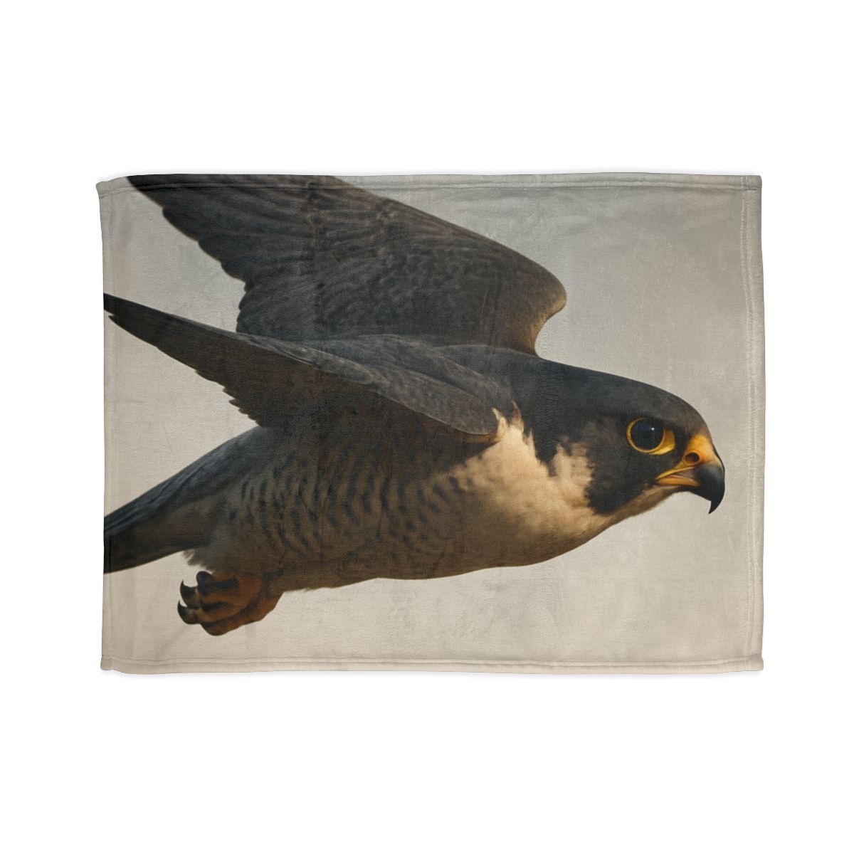 Comet Glide Peregrine Falcon warm winter blankets
