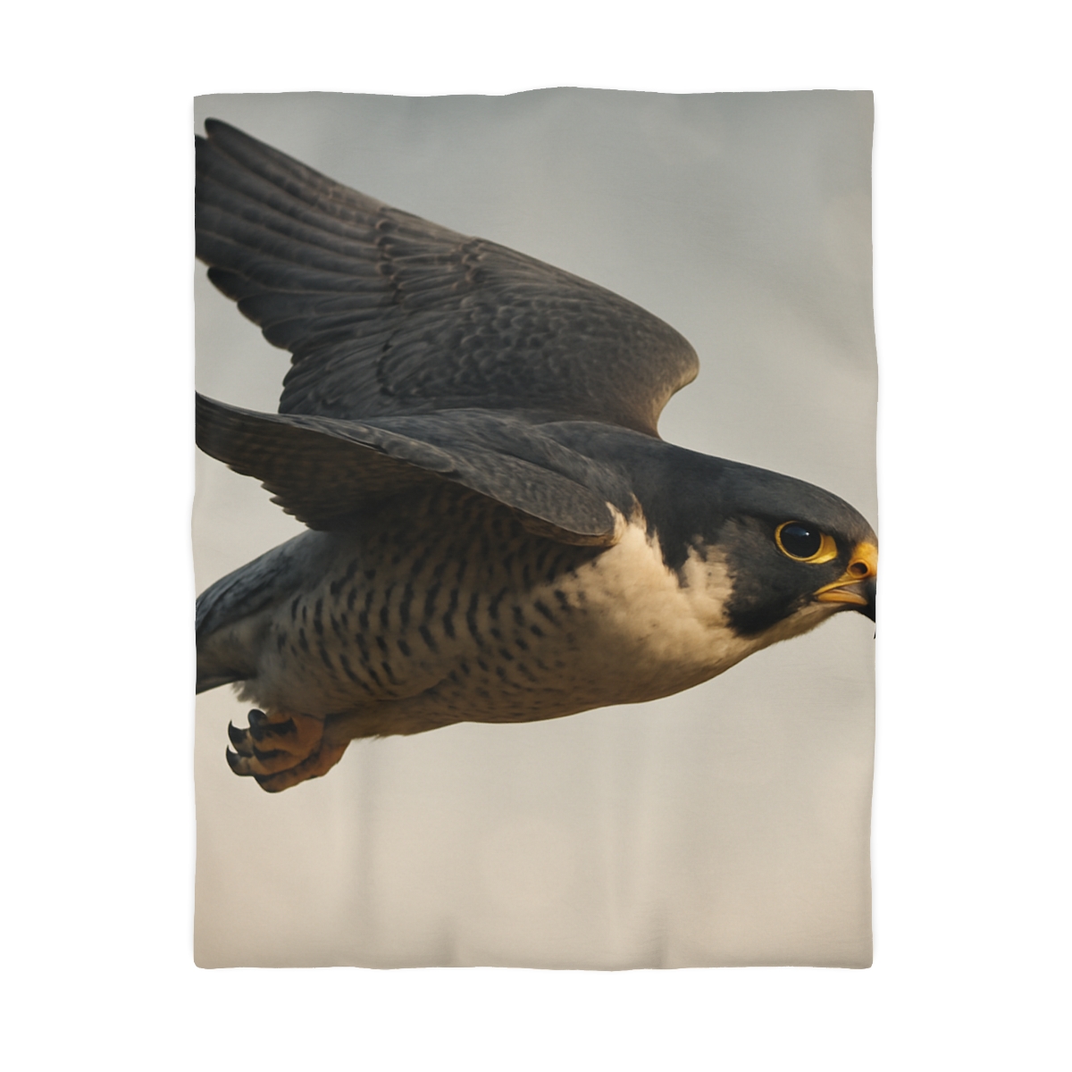 Comet Glide Peregrine Falcon duvets for gifts