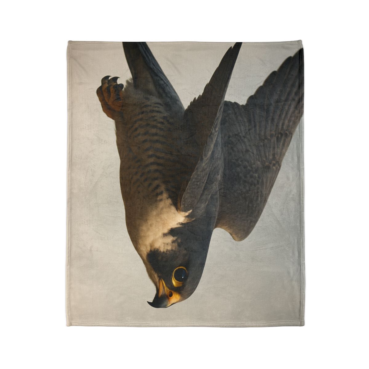 Comet Glide Peregrine Falcon warm winter blankets