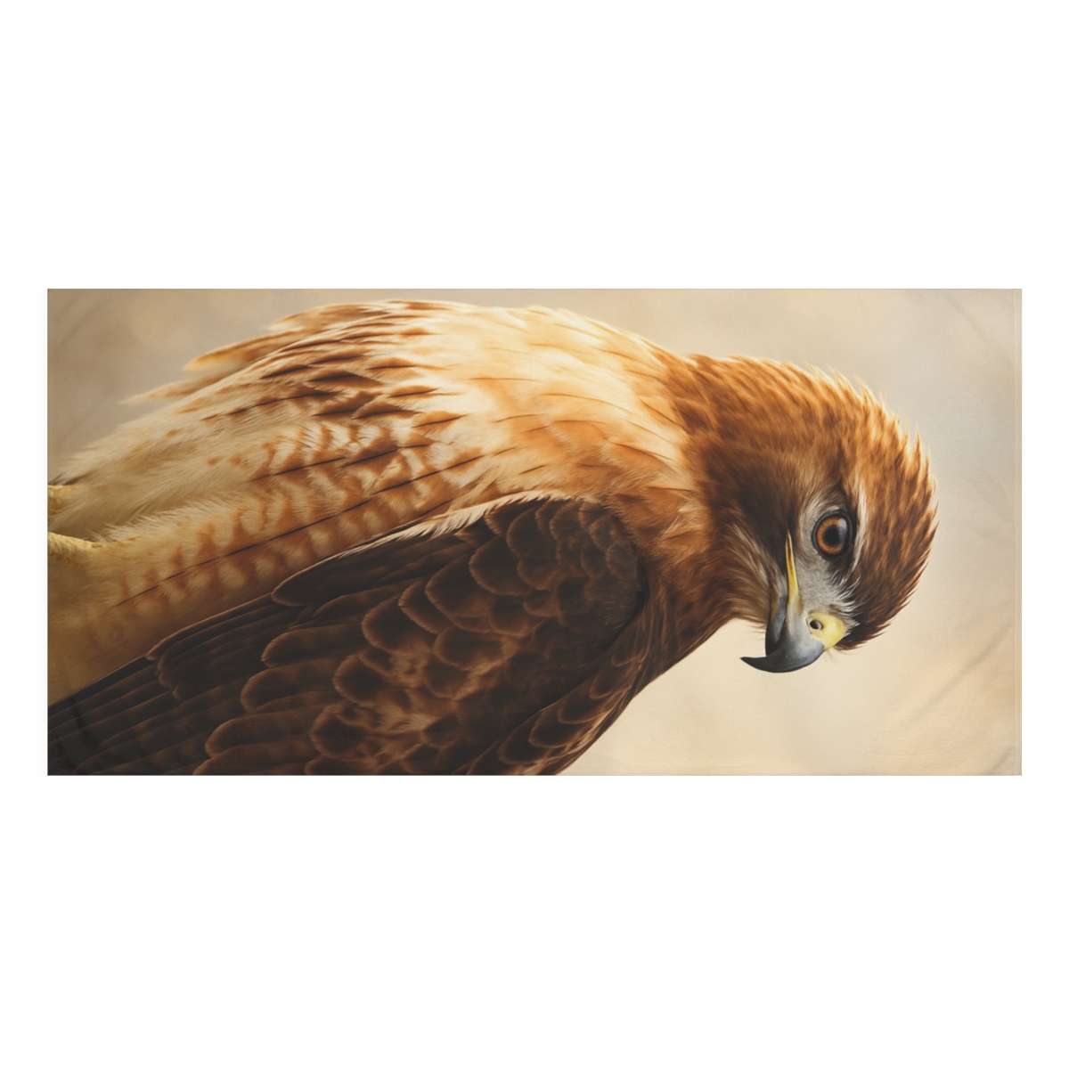 Copper Vigil Red Tailed Hawk designer printed towels