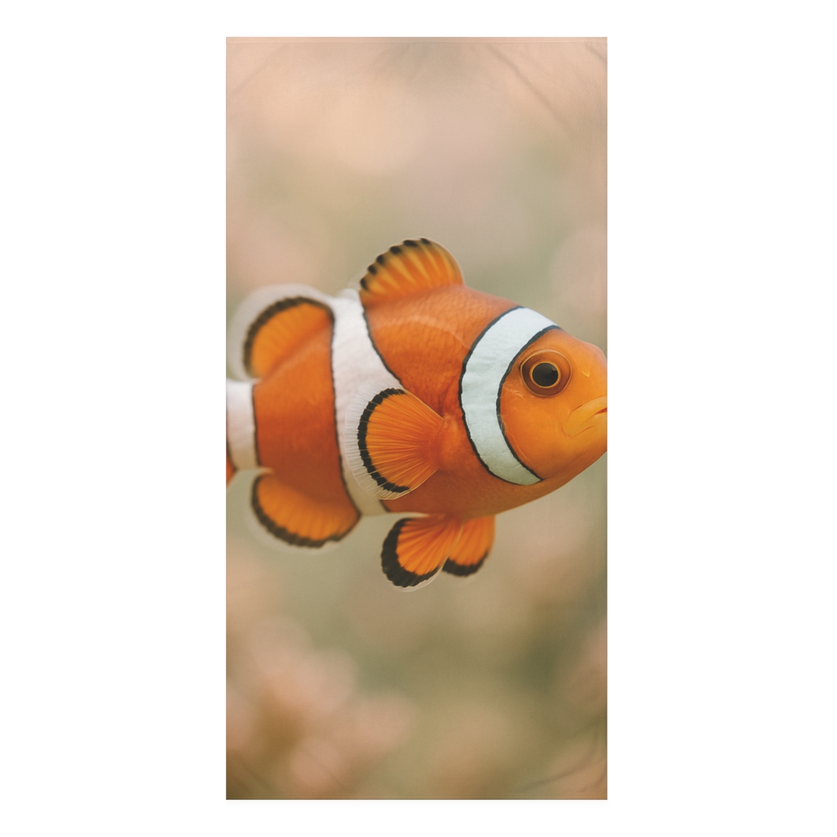 Coral Gleam Clownfish trendy hand towels