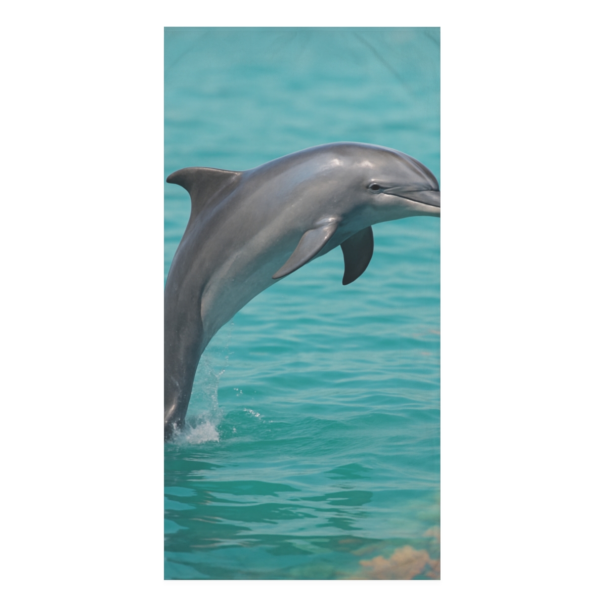 Coral Realm Bottlenose Dolphin decorative home towels