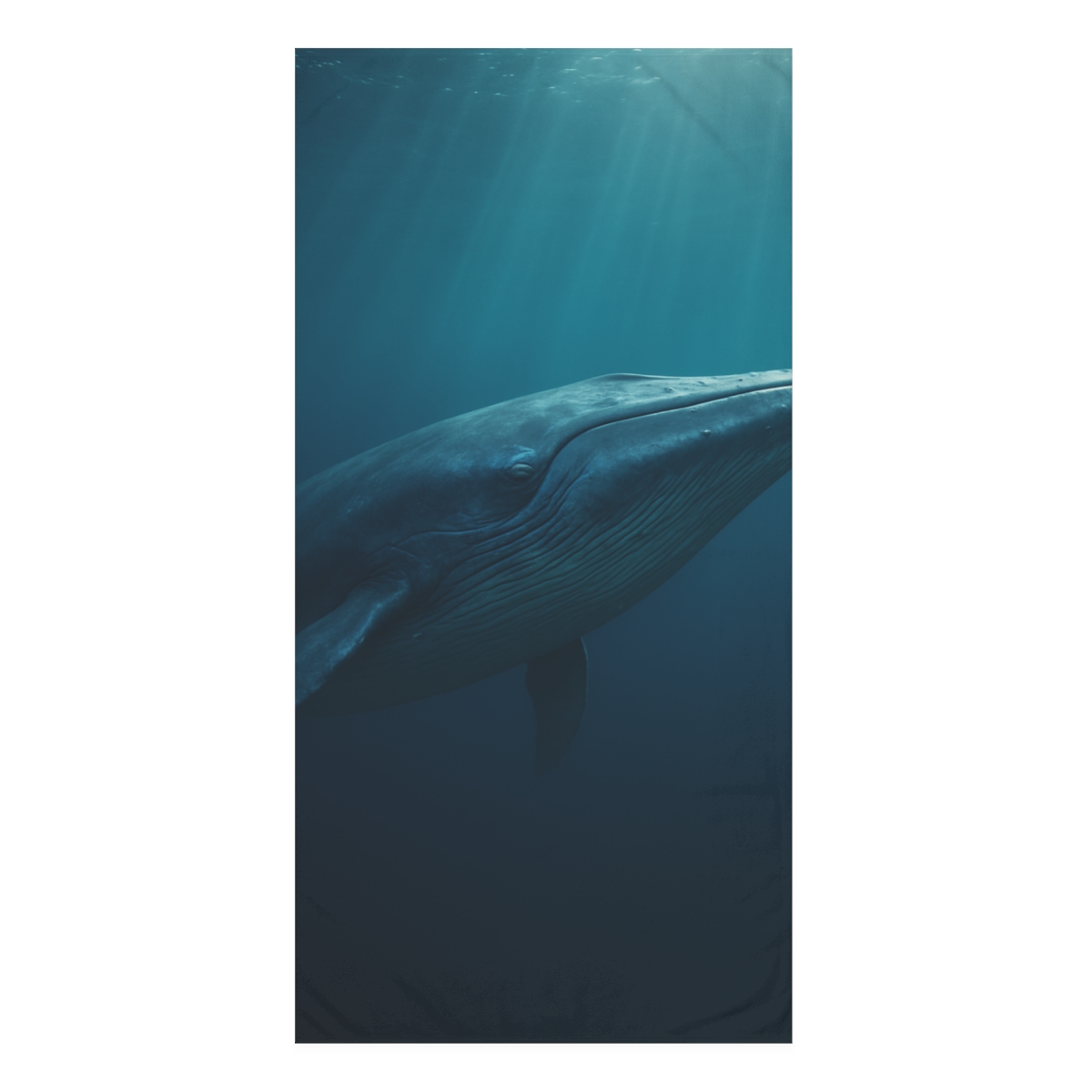 Coral Song Blue Whale stylish beach towels