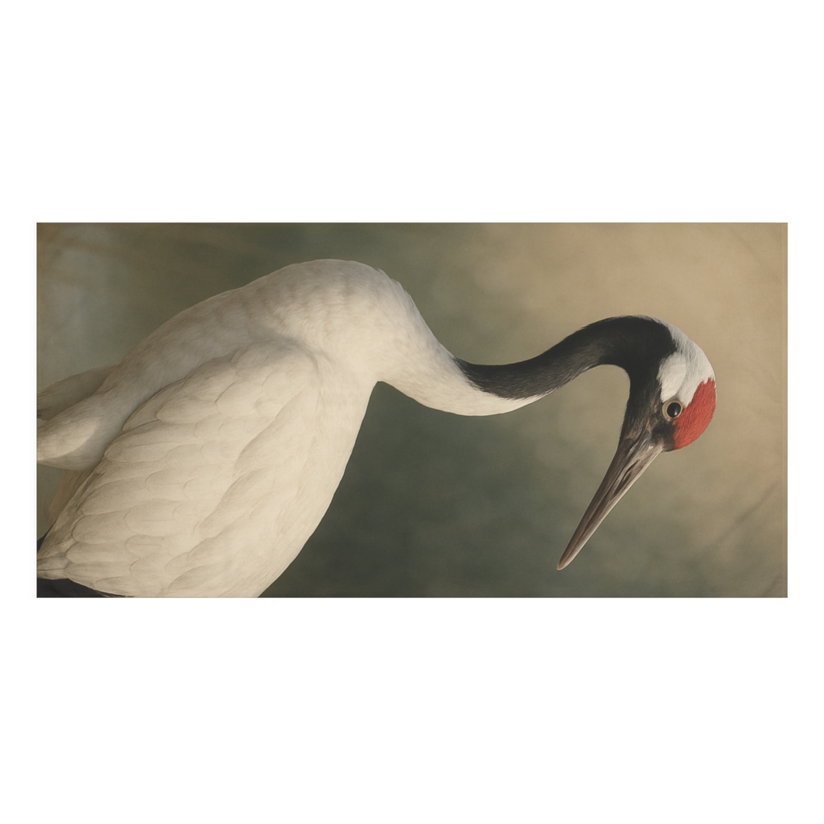 Crimson Poise Red Crowned Crane designer printed towels