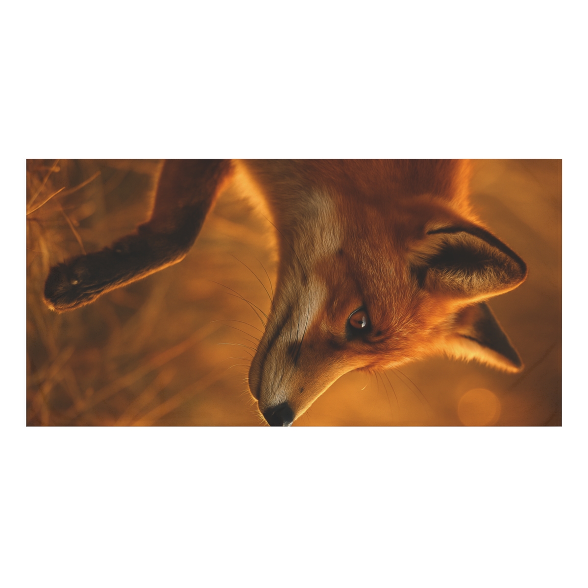 Crimson Whisper Red Fox custom towels