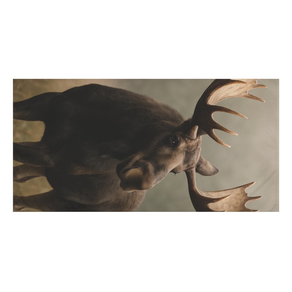 Crown Of Mist Bull Moose personalized bath towels