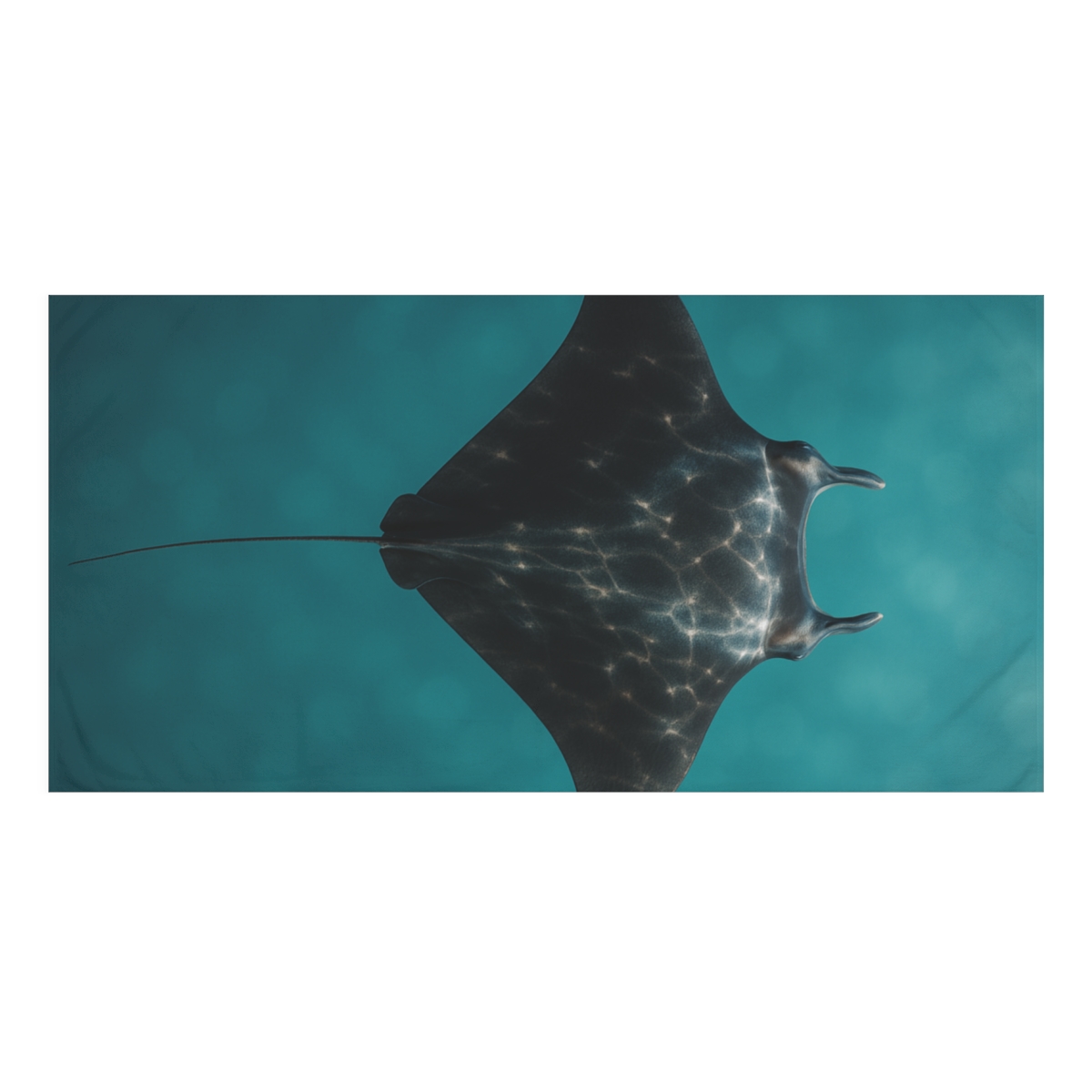 Crystal Current Manta Ray designer printed towels