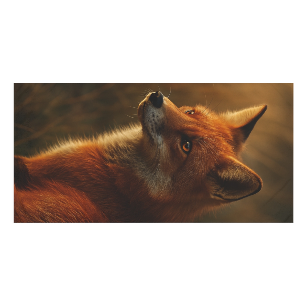 Crimson Whisper Red Fox unique gift towels
