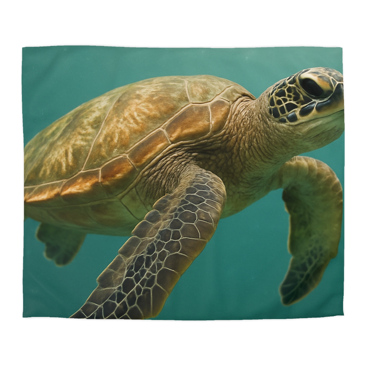 Amber Stillness Green Sea Turtle stylish duvet covers