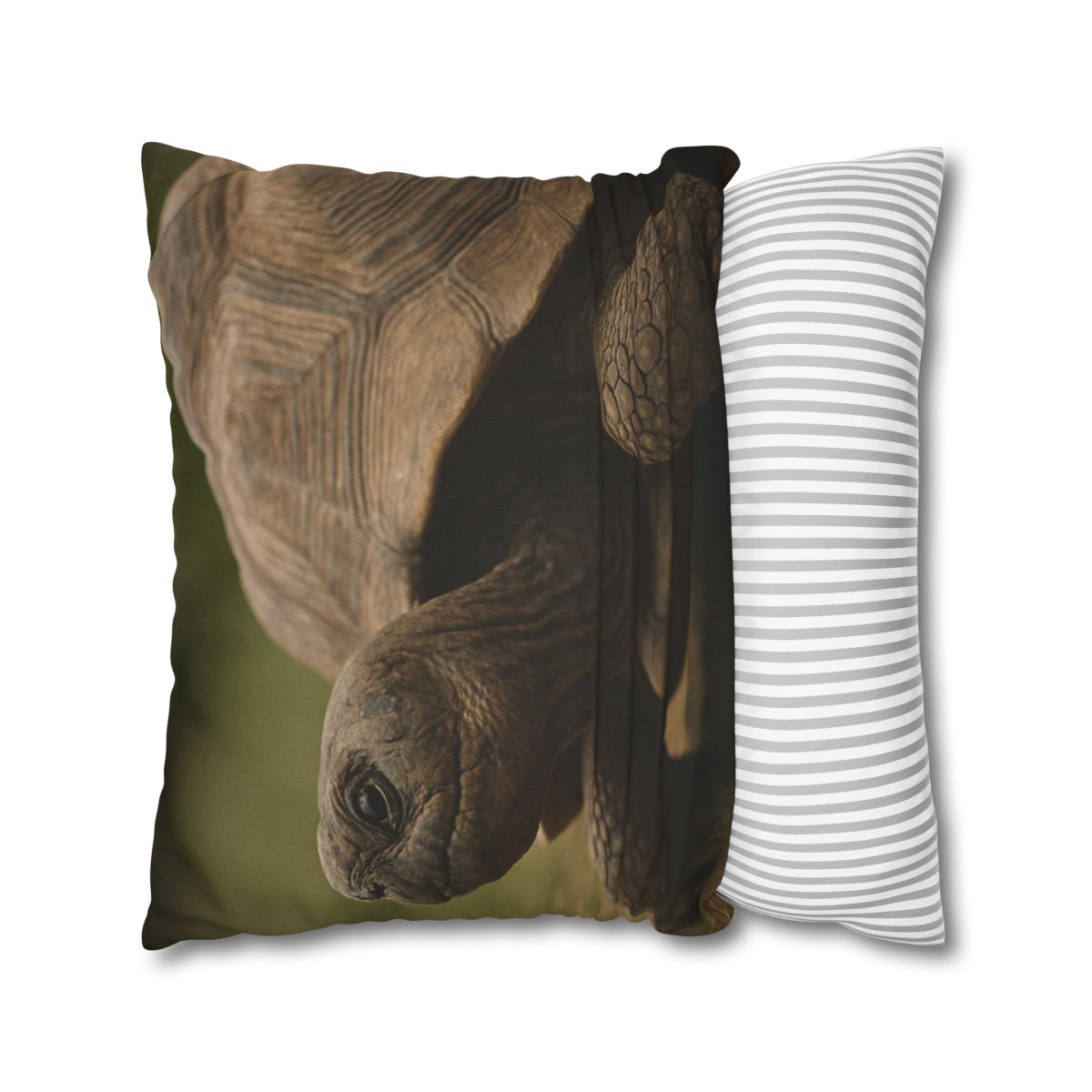Giant Tortoise Timebound Gaze personalized pillow covers