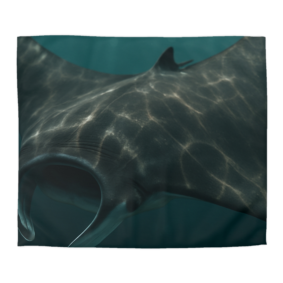 Moonlit Drift Giant Manta Ray custom duvets