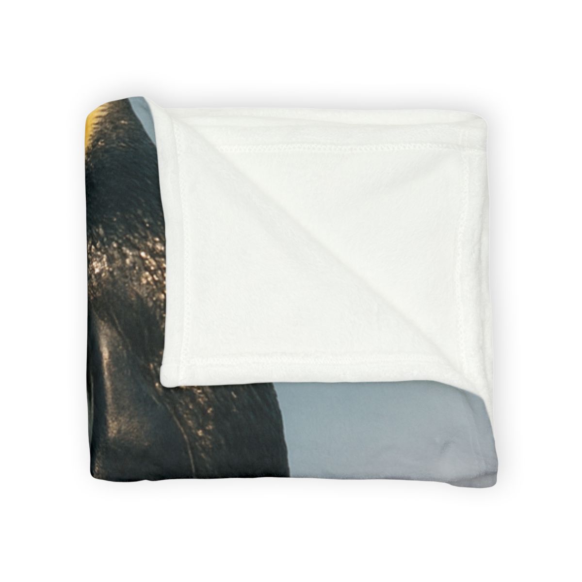 Aurora Drift Emperor Penguin stylish throw blankets