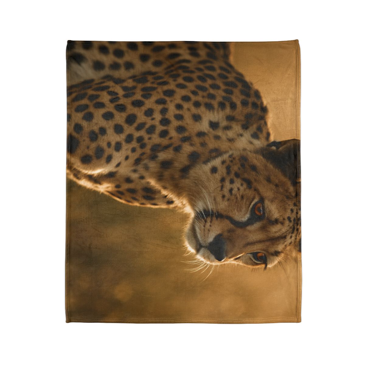 Sunlit Stare Cheetah warm winter blankets