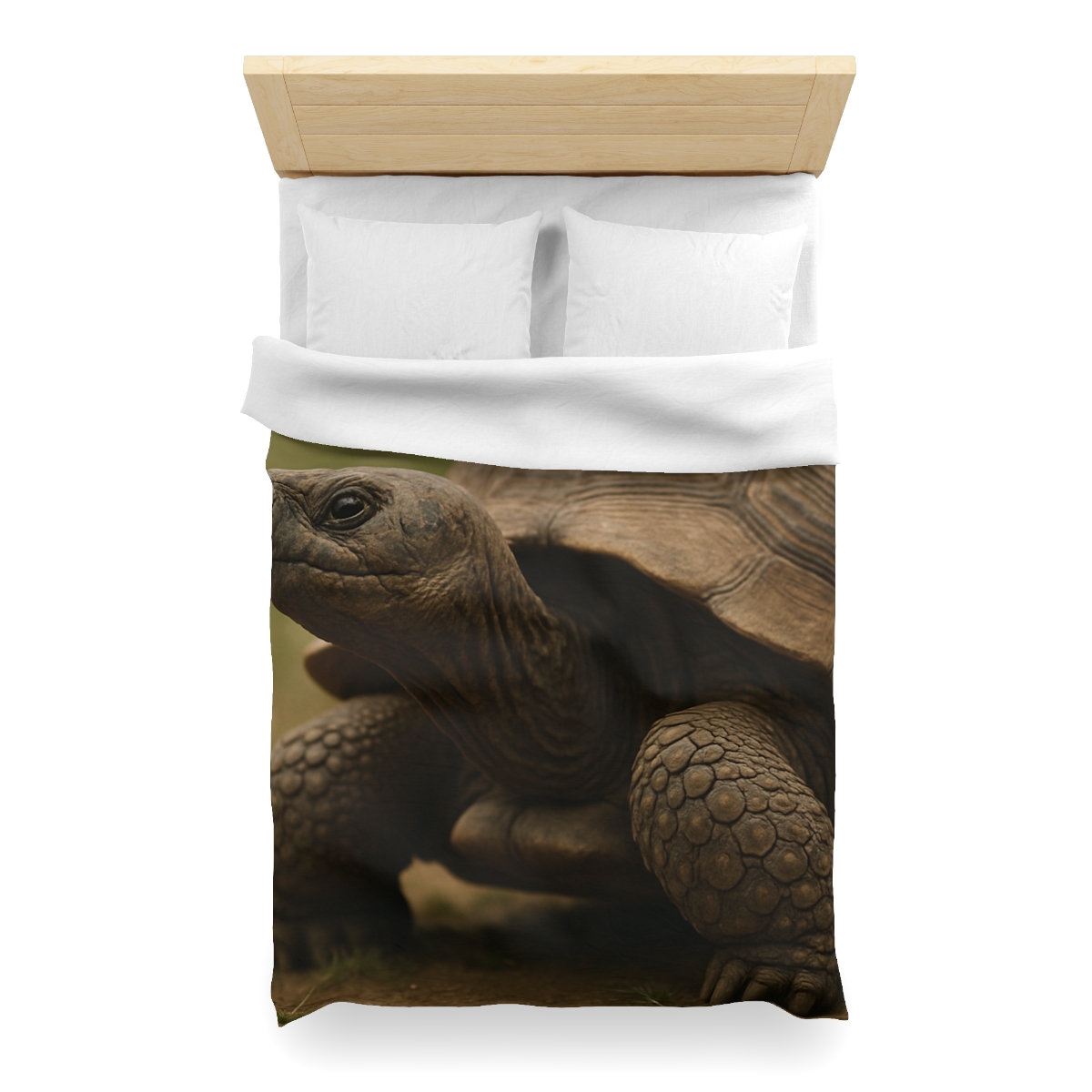 Giant Tortoise Timebound Gaze designer printed duvets