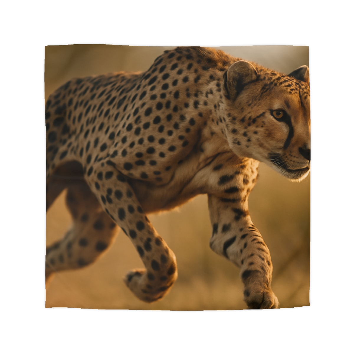 Dawn Sprint Cheetah custom duvets