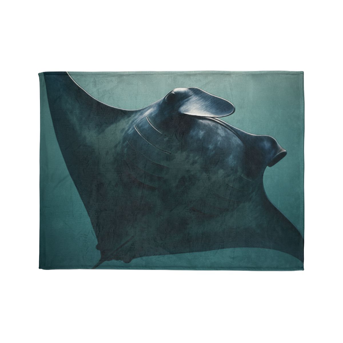 Nebula Glide Giant Manta Ray warm winter blankets