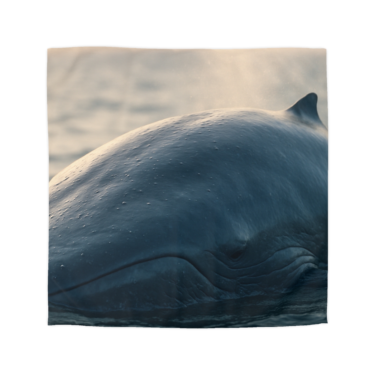 Deep Song Blue Whale trendy bedroom duvets