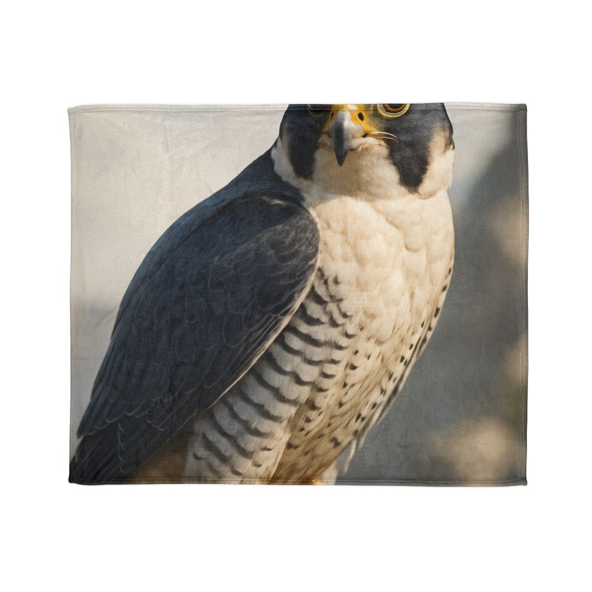 Velocity Gaze Peregrine Falcon decorative home blankets