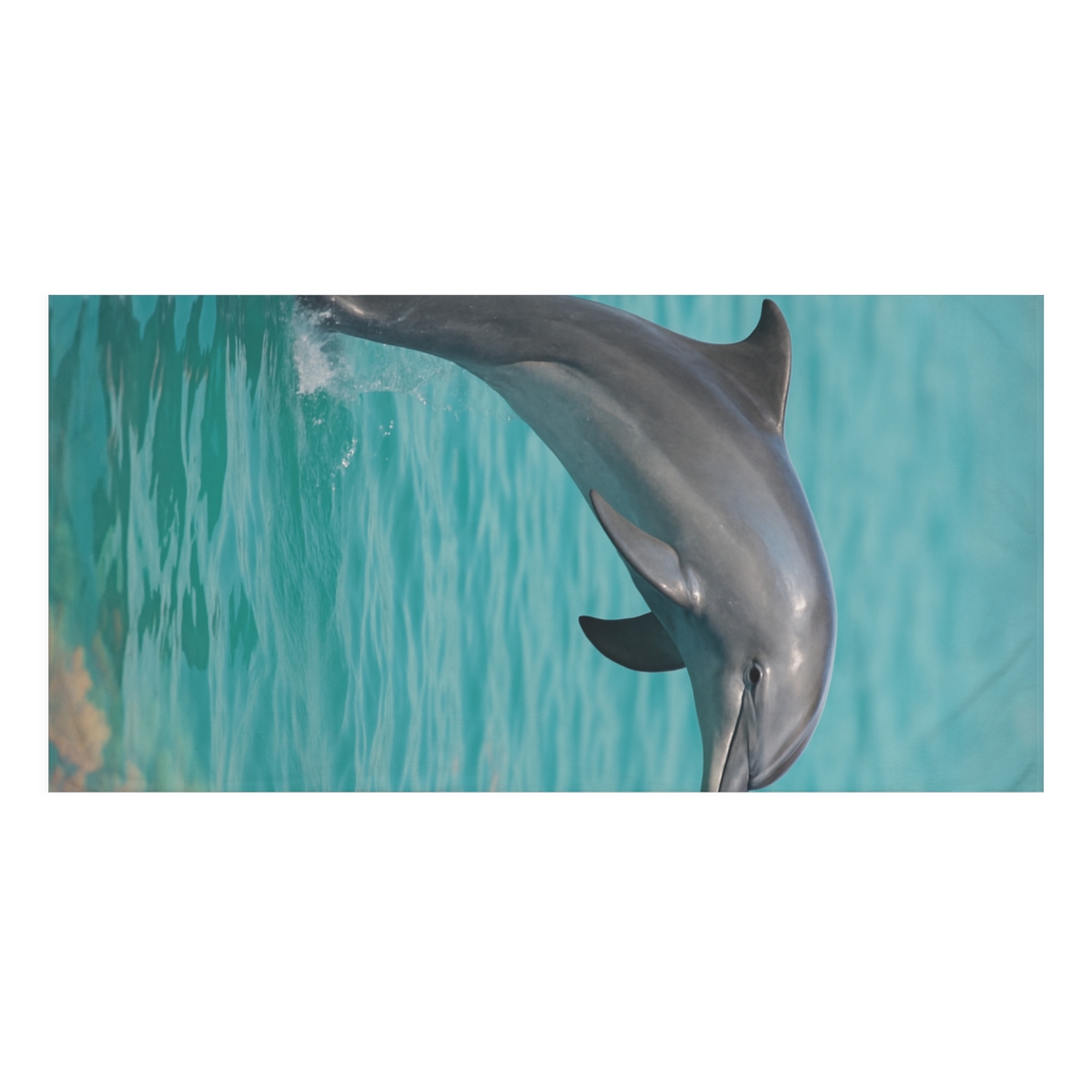 Coral Realm Bottlenose Dolphin decorative home towels