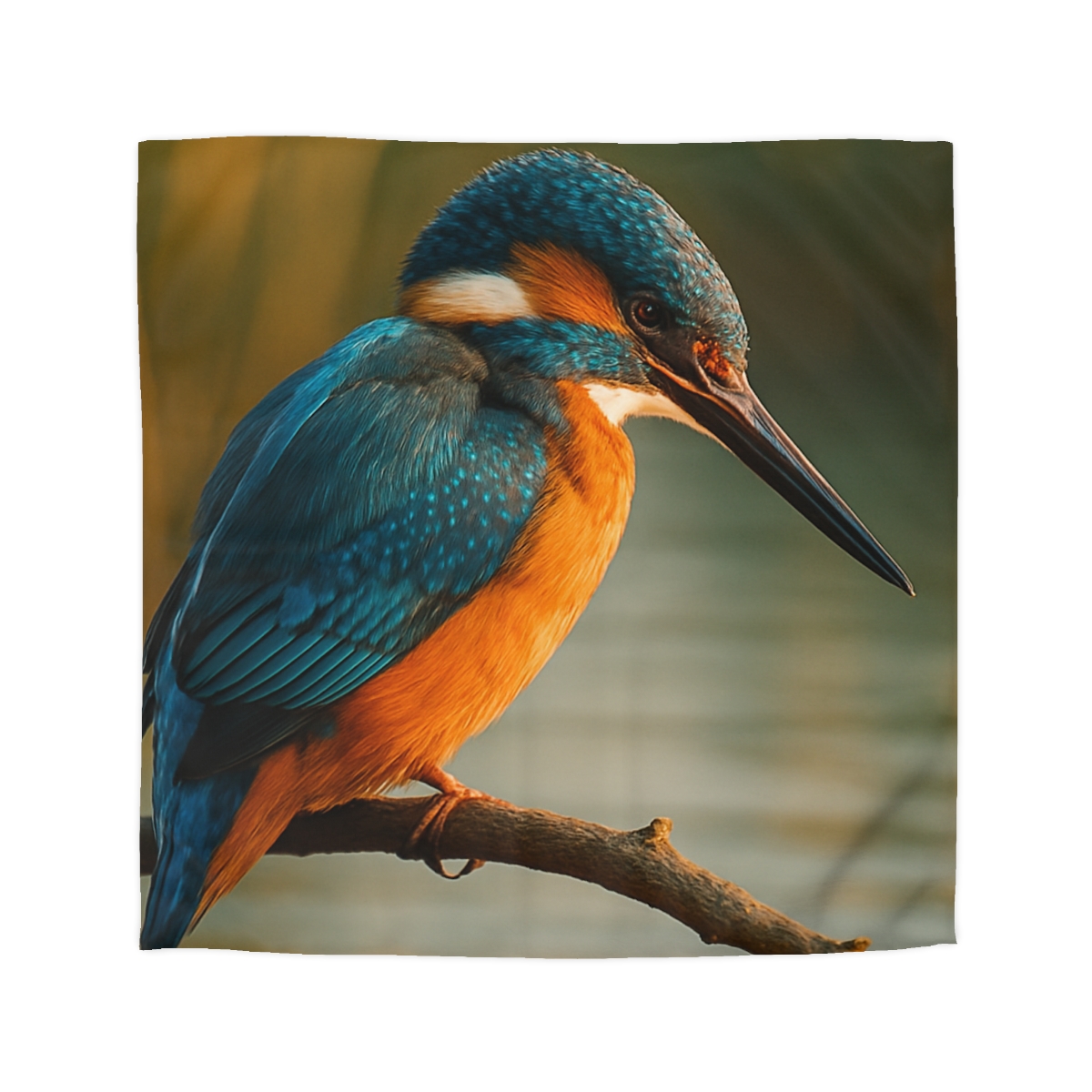 Aurora Splash Common Kingfisher warm winter duvets