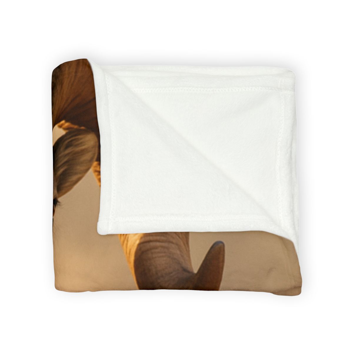 Canyon Echo Bighorn Sheep stylish throw blankets