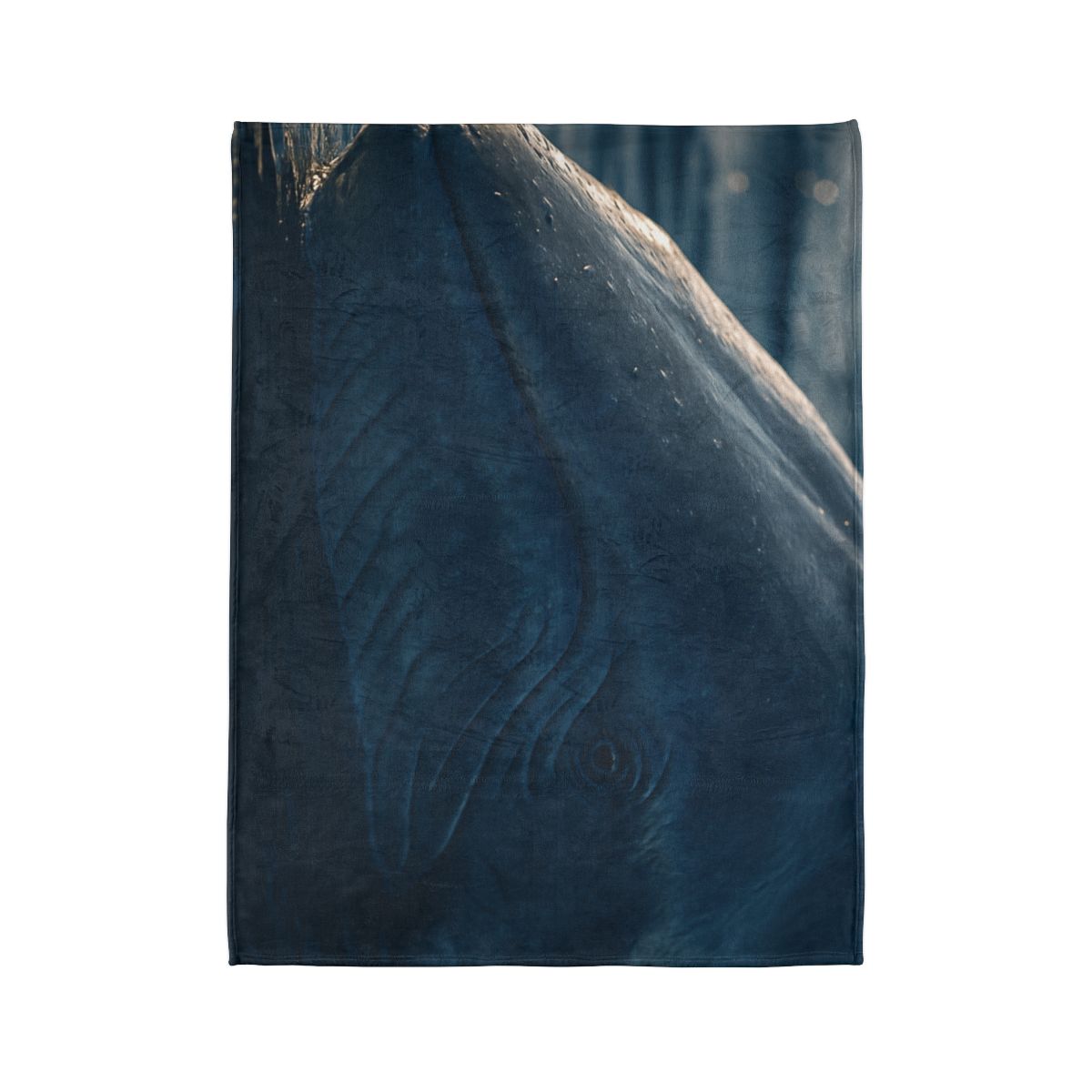 Ocean Song Blue Whale designer printed blankets