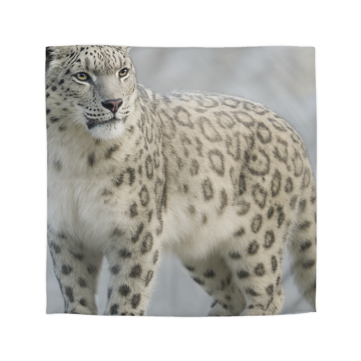 Snow Drift Hunter Snow Leopard soft comforter duvets