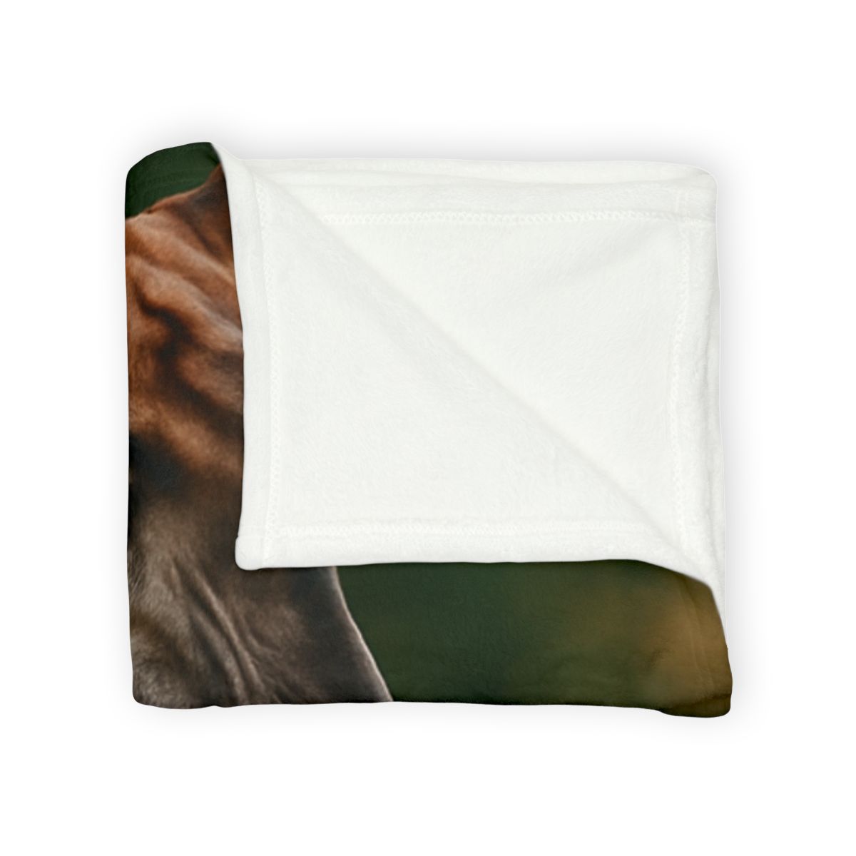 Velvet Shadow Okapi decorative home blankets