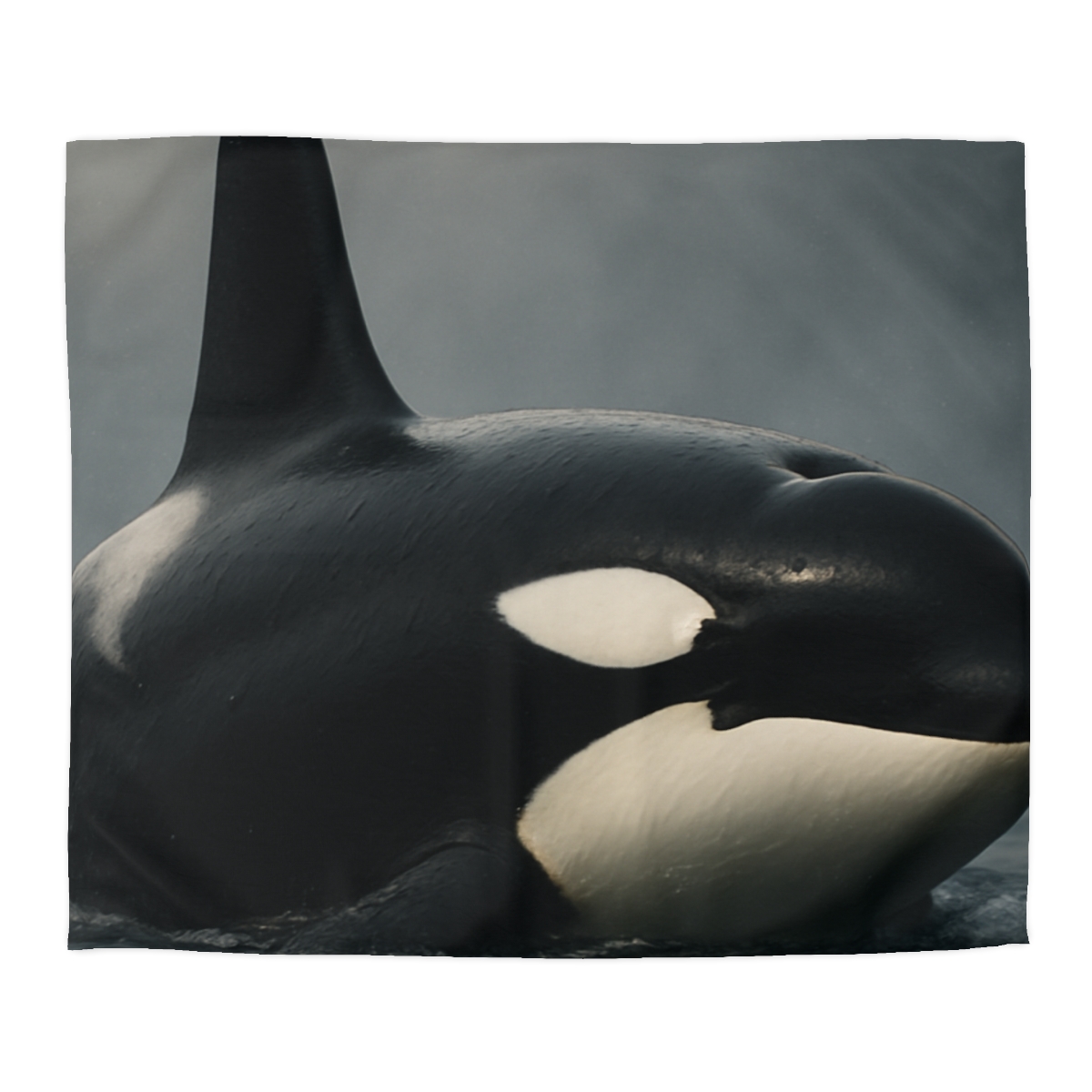 Quiet Current Orca personalized bedding duvets