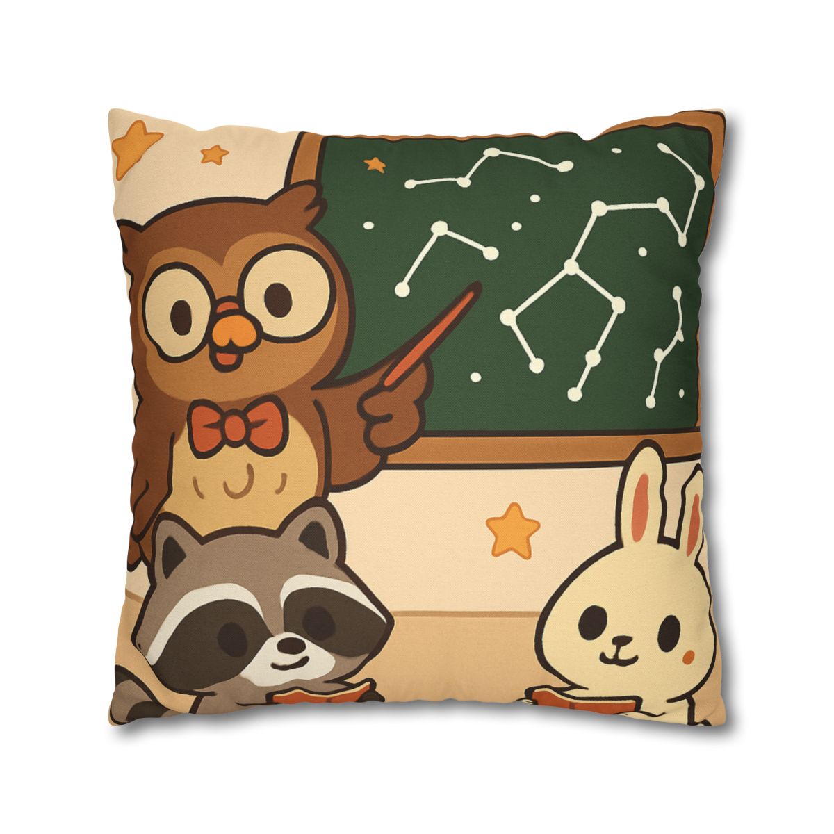 Comet Classroom Owl And The Star Map Chalkboard soft cotton pillow cases