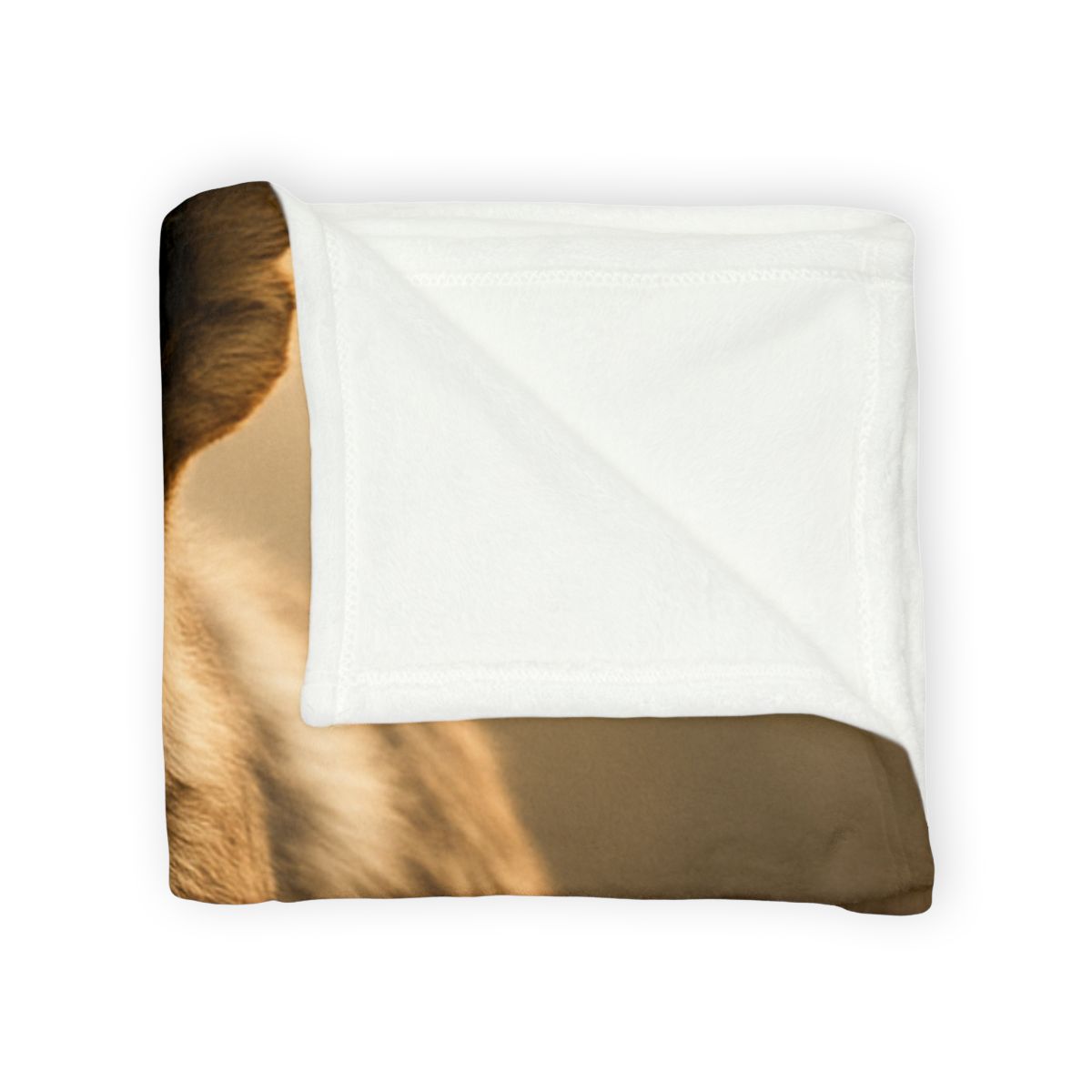 Starlit Scout African Wild Dog trendy patterned blankets