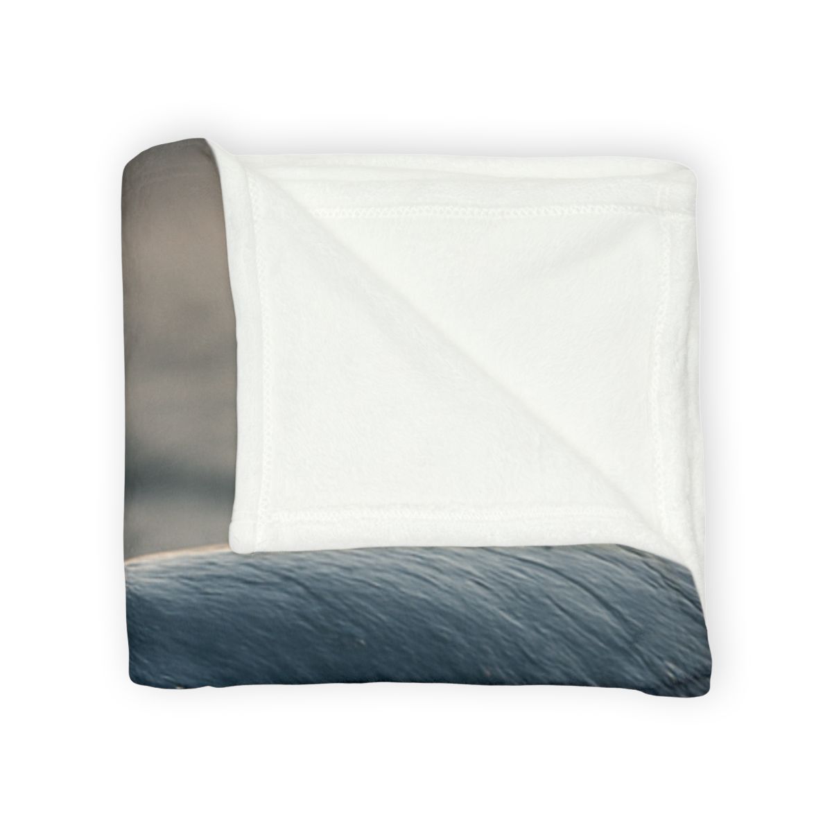 Ocean Song Blue Whale unique gift blankets