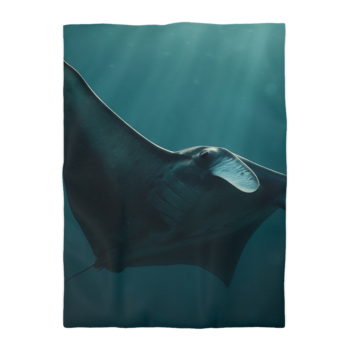 Glasswing Glide Manta Ray duvets for gifts