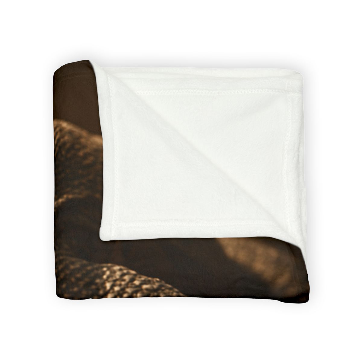 Ancient Sentinel Komodo Dragon unique gift blanketscustom blankets