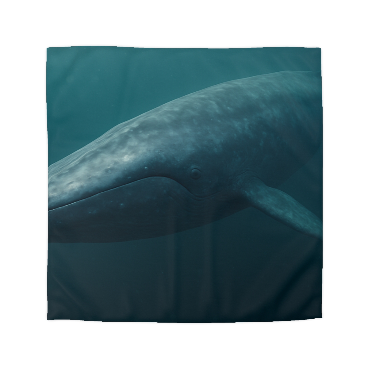 Ocean Song Blue Whale stylish duvet covers